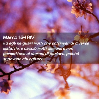 Picture 02 - Marco 1:34 RIV - Ed egli ne guarì molti che soffrivan di diverse - Bible Verse Picture