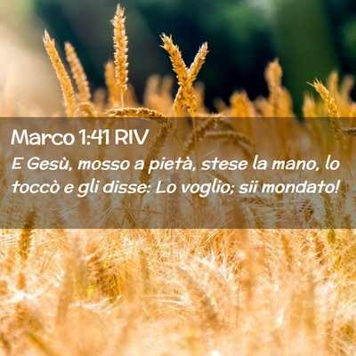 Picture 02 - Marco 1:41 RIV - E Gesù, mosso a pietà, stese la mano, lo toccò - Bible Verse Picture