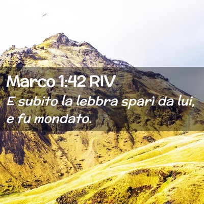 Picture 02 - Marco 1:42 RIV - E subito la lebbra sparì da lui, e fu - Bible Verse Picture