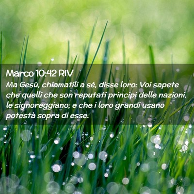 Picture 02 - Marco 10:42 RIV - Ma Gesù, chiamatili a sé, disse loro: Voi - Bible Verse Picture