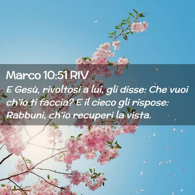 Picture 02 - Marco 10:51 RIV - E Gesù, rivoltosi a lui, gli disse: Che vuoi - Bible Verse Picture