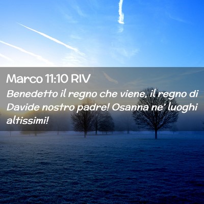 Picture 02 - Marco 11:10 RIV - Benedetto il regno che viene, il regno di Davide - Bible Verse Picture