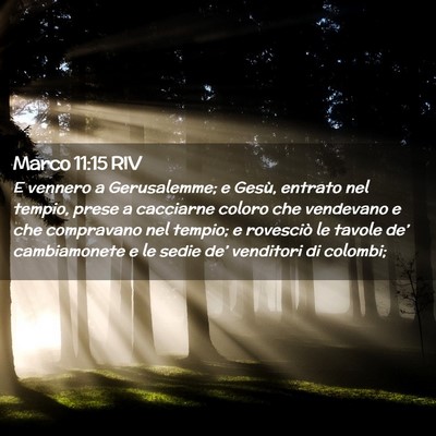 Picture 02 - Marco 11:15 RIV - E vennero a Gerusalemme; e Gesù, entrato nel - Bible Verse Picture