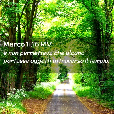 Picture 02 - Marco 11:16 RIV - e non permetteva che alcuno portasse oggetti - Bible Verse Picture