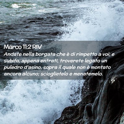 Picture 02 - Marco 11:2 RIV - Andate nella borgata che è di rimpetto a voi; e - Bible Verse Picture