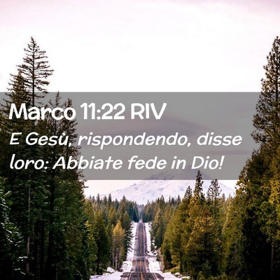 Picture 02 - Marco 11:22 RIV - E Gesù, rispondendo, disse loro: Abbiate fede in - Bible Verse Picture