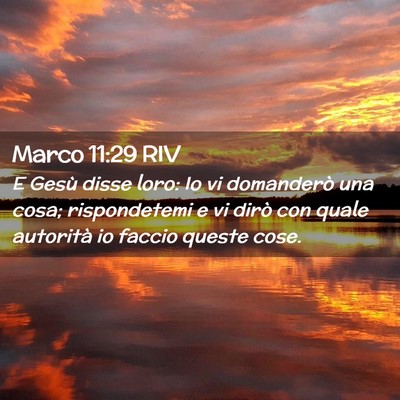 Picture 02 - Marco 11:29 RIV - E Gesù disse loro: Io vi domanderò una cosa; - Bible Verse Picture