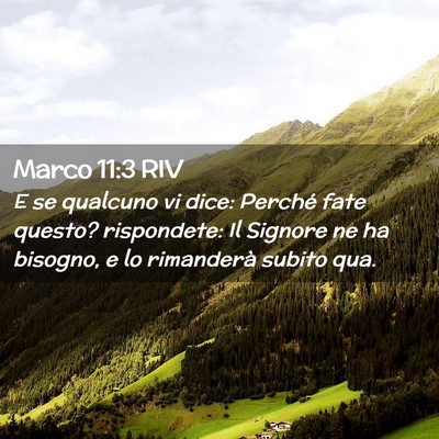 Picture 02 - Marco 11:3 RIV - E se qualcuno vi dice: Perché fate questo? - Bible Verse Picture