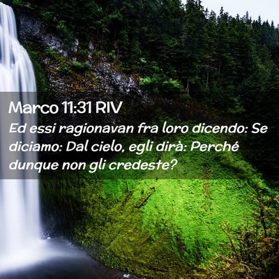 Picture 02 - Marco 11:31 RIV - Ed essi ragionavan fra loro dicendo: Se diciamo: - Bible Verse Picture