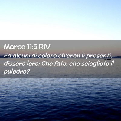 Picture 02 - Marco 11:5 RIV - Ed alcuni di coloro ch’eran lì presenti, - Bible Verse Picture