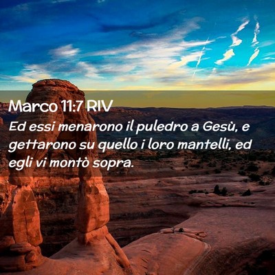 Picture 02 - Marco 11:7 RIV - Ed essi menarono il puledro a Gesù, e gettarono - Bible Verse Picture