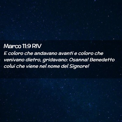 Picture 02 - Marco 11:9 RIV - E coloro che andavano avanti e coloro che - Bible Verse Picture