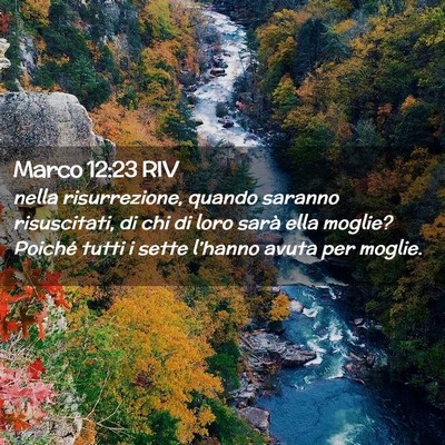 Picture 02 - Marco 12:23 RIV - nella risurrezione, quando saranno risuscitati, - Bible Verse Picture