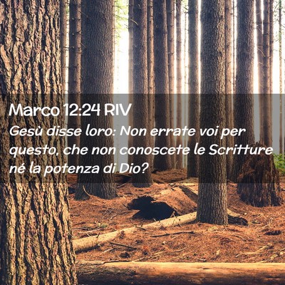Picture 02 - Marco 12:24 RIV - Gesù disse loro: Non errate voi per questo, che - Bible Verse Picture