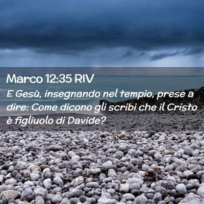 Picture 02 - Marco 12:35 RIV - E Gesù, insegnando nel tempio, prese a dire: - Bible Verse Picture