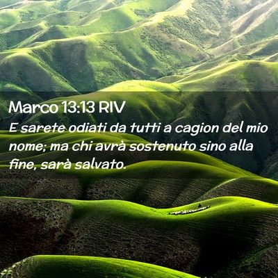 Picture 02 - Marco 13:13 RIV - E sarete odiati da tutti a cagion del mio nome; - Bible Verse Picture