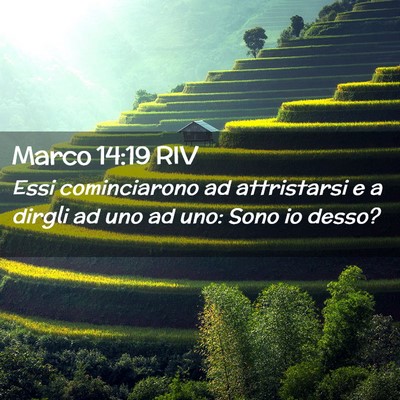 Picture 02 - Marco 14:19 RIV - Essi cominciarono ad attristarsi e a dirgli ad - Bible Verse Picture