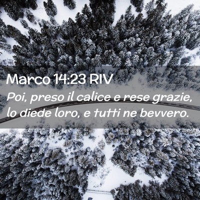 Picture 02 - Marco 14:23 RIV - Poi, preso il calice e rese grazie, lo diede - Bible Verse Picture