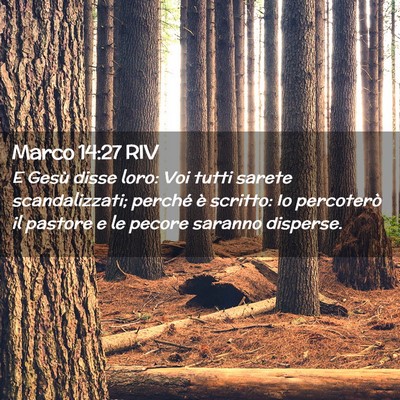 Picture 02 - Marco 14:27 RIV - E Gesù disse loro: Voi tutti sarete - Bible Verse Picture
