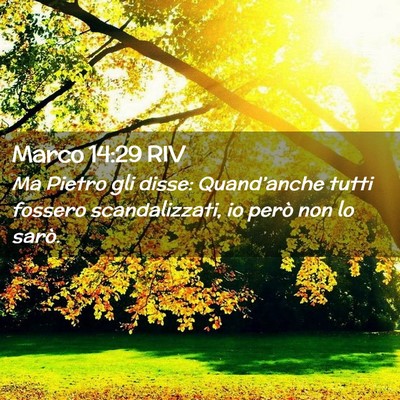 Picture 02 - Marco 14:29 RIV - Ma Pietro gli disse: Quand’anche tutti fossero - Bible Verse Picture