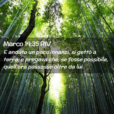 Picture 02 - Marco 14:35 RIV - E andato un poco innanzi, si gettò a terra; e - Bible Verse Picture