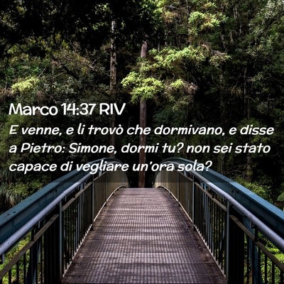 Picture 02 - Marco 14:37 RIV - E venne, e li trovò che dormivano, e disse a - Bible Verse Picture