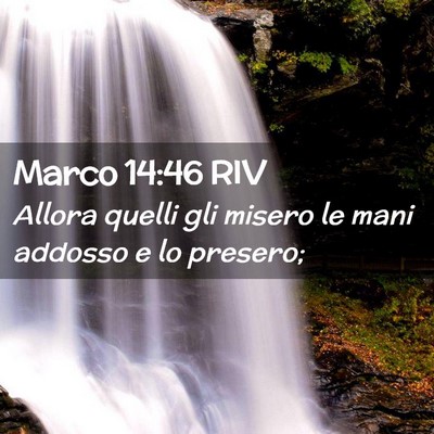 Picture 02 - Marco 14:46 RIV - Allora quelli gli misero le mani addosso e lo - Bible Verse Picture
