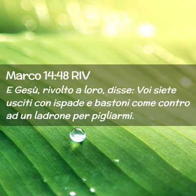 Picture 02 - Marco 14:48 RIV - E Gesù, rivolto a loro, disse: Voi siete usciti - Bible Verse Picture