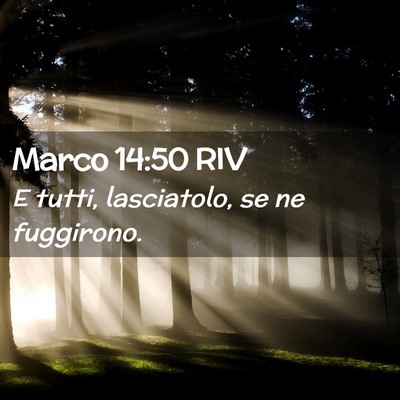Picture 02 - Marco 14:50 RIV - E tutti, lasciatolo, se ne - Bible Verse Picture