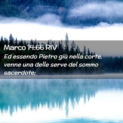 Picture 02 - Marco 14:66 RIV - Ed essendo Pietro giù nella corte, venne una - Bible Verse Picture