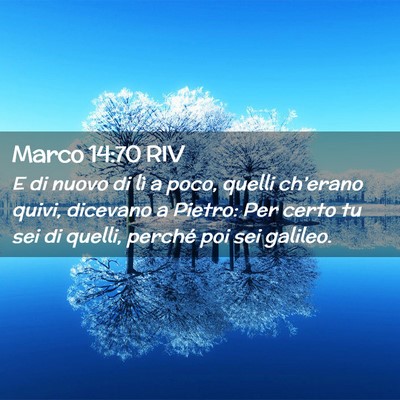 Picture 02 - Marco 14:70 RIV - E di nuovo di lì a poco, quelli ch’erano - Bible Verse Picture