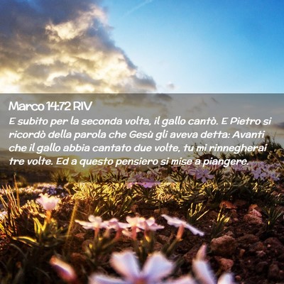 Picture 02 - Marco 14:72 RIV - E subito per la seconda volta, il gallo cantò. E - Bible Verse Picture