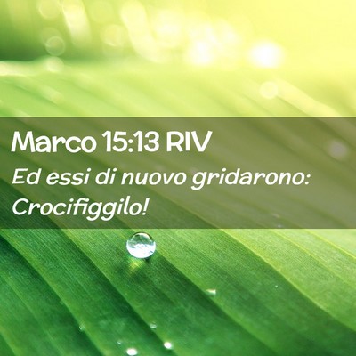 Picture 02 - Marco 15:13 RIV - Ed essi di nuovo gridarono: - Bible Verse Picture