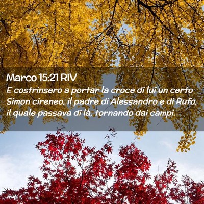 Picture 02 - Marco 15:21 RIV - E costrinsero a portar la croce di lui un certo - Bible Verse Picture