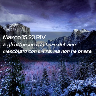 Picture 02 - Marco 15:23 RIV - E gli offersero da bere del vino mescolato con - Bible Verse Picture