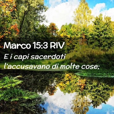 Picture 02 - Marco 15:3 RIV - E i capi sacerdoti l’accusavano di molte - Bible Verse Picture