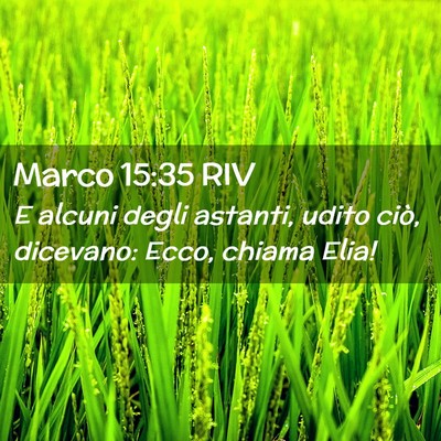 Picture 02 - Marco 15:35 RIV - E alcuni degli astanti, udito ciò, dicevano: - Bible Verse Picture
