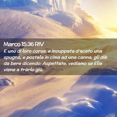 Picture 02 - Marco 15:36 RIV - E uno di loro corse, e inzuppata d’aceto una - Bible Verse Picture