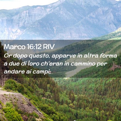 Picture 02 - Marco 16:12 RIV - Or dopo questo, apparve in altra forma a due di - Bible Verse Picture