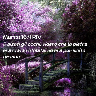 Picture 02 - Marco 16:4 RIV - E alzati gli occhi, videro che la pietra era - Bible Verse Picture