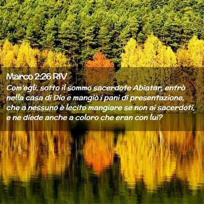 Picture 02 - Marco 2:26 RIV - Com’egli, sotto il sommo sacerdote Abiatar, - Bible Verse Picture