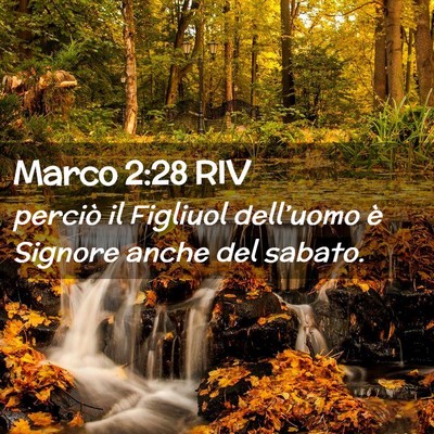 Picture 02 - Marco 2:28 RIV - perciò il Figliuol dell’uomo è Signore anche - Bible Verse Picture