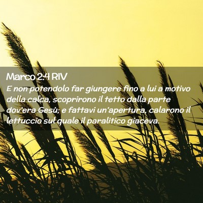 Picture 02 - Marco 2:4 RIV - E non potendolo far giungere fino a lui a motivo - Bible Verse Picture