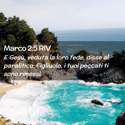 Picture 02 - Marco 2:5 RIV - E Gesù, veduta la loro fede, disse al - Bible Verse Picture