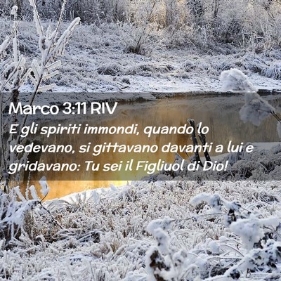 Picture 02 - Marco 3:11 RIV - E gli spiriti immondi, quando lo vedevano, si - Bible Verse Picture