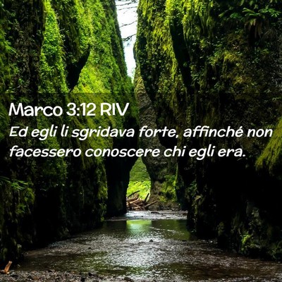 Picture 02 - Marco 3:12 RIV - Ed egli li sgridava forte, affinché non - Bible Verse Picture