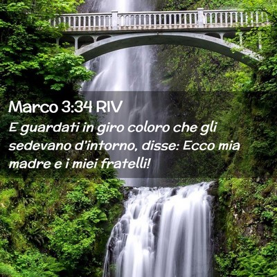 Picture 02 - Marco 3:34 RIV - E guardati in giro coloro che gli sedevano - Bible Verse Picture