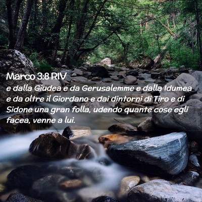 Picture 02 - Marco 3:8 RIV - e dalla Giudea e da Gerusalemme e dalla Idumea e - Bible Verse Picture