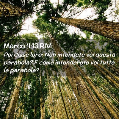 Picture 02 - Marco 4:13 RIV - Poi disse loro: Non intendete voi questa - Bible Verse Picture