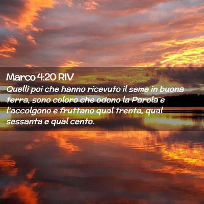 Picture 02 - Marco 4:20 RIV - Quelli poi che hanno ricevuto il seme in buona - Bible Verse Picture